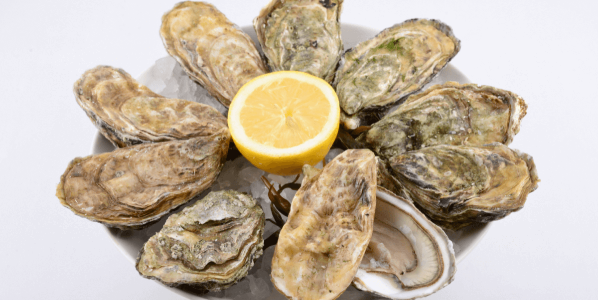 Gillardeau -Marennes Oléron Huîtres Spéciales n°3 x9pces - Quai des artistes 